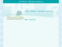 Tablet Screenshot of bloomingbaby.com